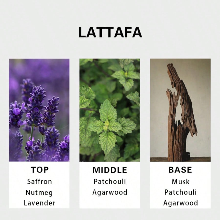 Lattafa Badee Al Oud For Glory – Fragrance Perfume Usa Bewertung und Preis